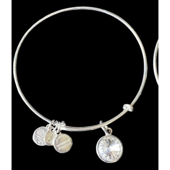 ALEX & ANI Lot 3 April Birthstone Aries Apple Charm Silver Plate Charm Stainless - Picture 1 of 4